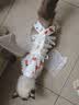 欢宠网宠物猫咪绝育服猫手术服母猫衣服断奶术后恢复猫猫小猫透气防舔衣 实拍图