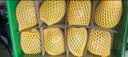 佳沛（zespri）新西兰金奇异果10粒巨大果146-175g猕猴桃中秋节礼品送水果礼盒 实拍图