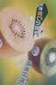 佳沛（zespri）绿奇异果优选果27-33个原箱装单果约103-135g水果 猕猴桃 实拍图