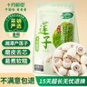 十月稻田 莲子 250g 半斤 湘潭产去芯磨皮白莲子 桂圆百合银耳羹煲汤食材  实拍图