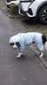MIKI PAD狗狗雨衣全包四脚防水衣服春秋宠物中大型犬金毛萨摩耶防脏神器 蓝色暴力熊雨衣 5XL（建议背长59cm以内，建议体重40-50斤） 实拍图