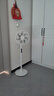 美的（Midea）【闪拆系列】一键闪电拆装直流变频家用语音电风扇一级能效静音落地扇大风力卧室立式电扇SDJ30BC 实拍图