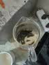 八马茶业安溪铁观音浓香型一级500g乌龙茶三百年世家送父母礼礼盒 实拍图