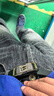【已售100w】男士皮带贴皮无牙自动扣腰带男青年简约商务休闲裤带 黑色无牙航B 实拍图