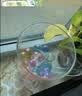 乐哲魔幻水精灵海绵水宝宝儿童玩具水珠吸水泡大珠花卉绿植水培材料 实拍图