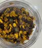 同仁堂品牌 北京同仁堂昆仑雪菊新疆雪菊天山血菊雪域高原口感甘甜50g 实拍图