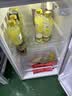 Hnrer小冰箱小型家用租房用1-2小户型电冰箱静音冷藏能效双开门冷冻迷你两用一级节能办公室大容量3-4人 148L198制冷净味款【大容量】 实拍图