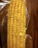 北纬47度水果玉米2.64斤(220g*6根)开袋即食鲜甜玉米棒 低脂低GI 早餐苞米 实拍图