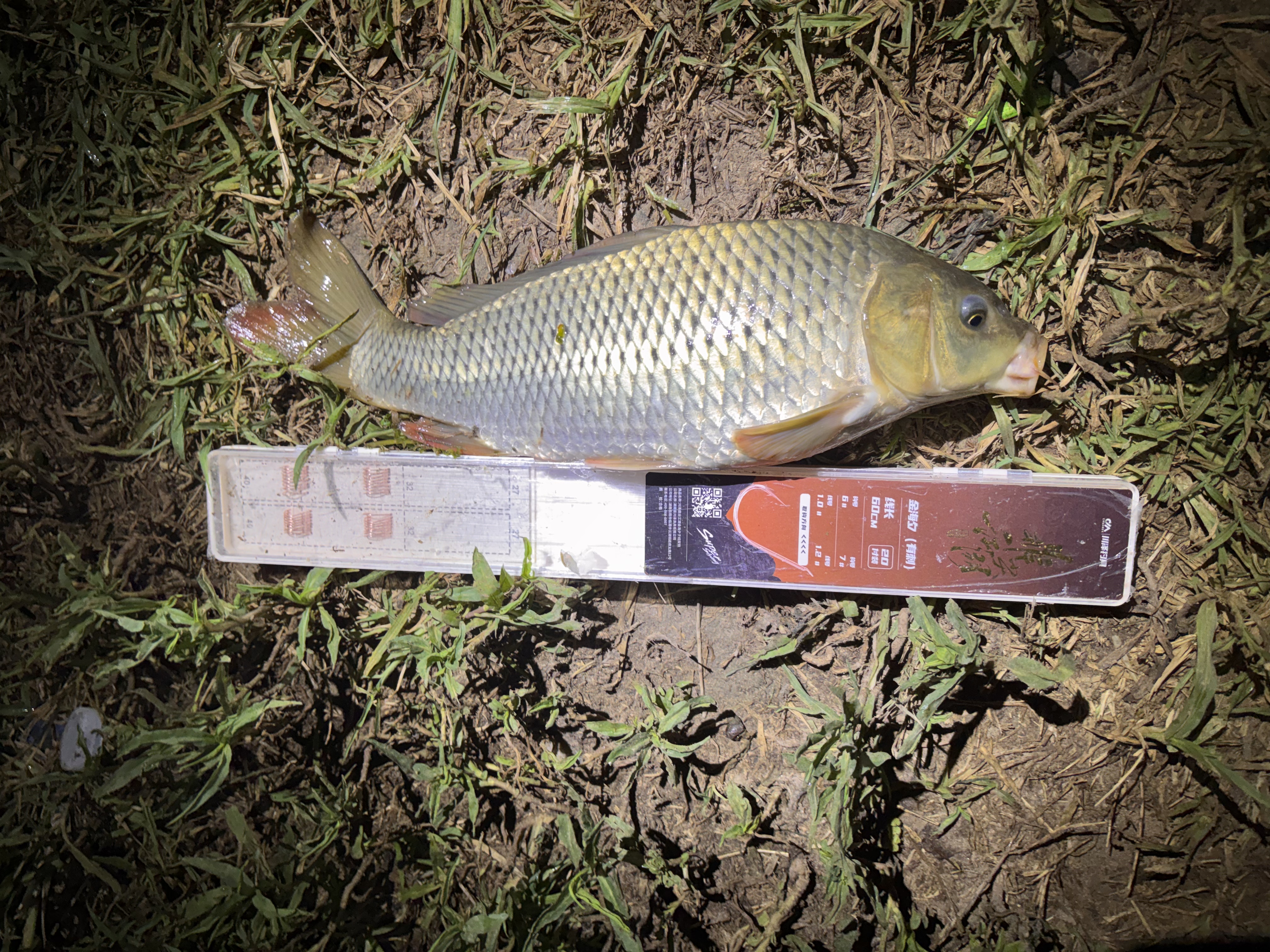 川泽鼎尖江湖子线双钩鳊鱼翘嘴鱼钩海夕有刺【钩6线1.0+钩7线1.2】 实拍图