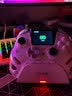 北通鲲鹏50第二代游戏手柄AI智控无线蓝牙手柄xbox电脑PC手机steam电视NSswitch2震动体感 原神 地平线 实拍图