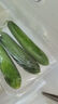 【水果菜】荷兰水果黄瓜约400g 实拍图