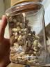 沃隆全坚果混合坚果500g罐装每日坚果炒货核桃仁腰果碧根果仁零食 实拍图