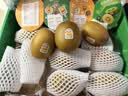 佳沛（zespri）新西兰 阳光金奇异果12粒特大果单果124-146g 猕猴桃水果礼盒 实拍图