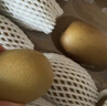 佳沛（zespri）新西兰阳光金奇异果10粒巨大果单果146-175g 猕猴桃水果礼盒 实拍图