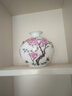 景德镇陶瓷器古典粉彩陶瓷花瓶家居工艺品客厅装饰品摆件插花花器 水点桃花 不带底座 实拍图