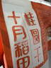 十月稻田 桂圆干 500g 带壳桂圆肉 龙眼肉干 枸杞红枣泡茶八宝粥 零食干货 实拍图
