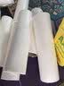 雅高粘毛器16CM10卷500撕滚筒粘毛神器去毛器衣服猫毛清理器可替换卷 实拍图