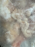 正大鸡全腿4斤（约4-6个）鸡腿烧烤鸡肉鸡腿肉低脂生鲜烤鸡大腿 实拍图