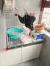 喵先生猫笼可折叠猫笼子带厕所一体大号双层猫别墅猫舍猫窝家用猫咪笼子 加固加密丨白色700双层丨适合1只成猫/2只幼猫 【赠】豪华款套餐礼包 可折叠款丨加密加固丨双层大空间 实拍图