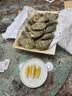 吉娜朵鲜活法国进口活体生蚝12只N0/N1/N4 生鲜牡蛎 即食刺身 源头直发 12N1 实拍图