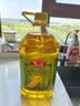 鲁花  食用油 压榨特香非转基因玉米胚芽油5L 实拍图