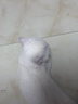 诚实一口P40全价猫粮成猫幼猫室内外80%鲜肉高蛋白长肉美毛鸡鱼味1.5kg 实拍图