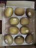 佳沛（zespri）新西兰 阳光金奇异果12粒特大果单果124-146g 猕猴桃水果礼盒 实拍图