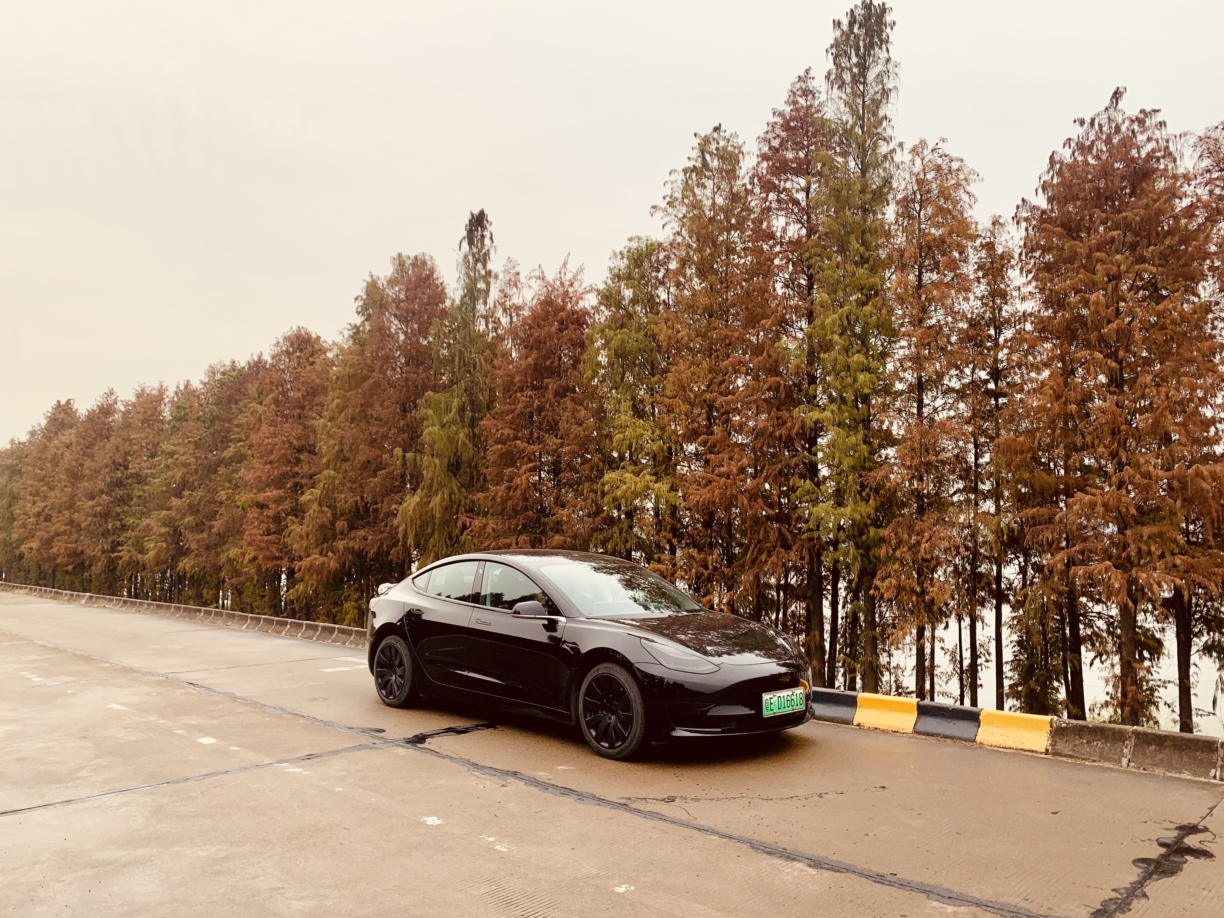米其林（MICHELIN）汽车轮胎 235/45ZR18 98Y 竞驰PILOT SPORT 5 适配凯美瑞/Model 3 实拍图