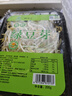 有机绿豆芽200g(原芽整根) 实拍图