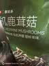 京东京造优质庆元香菇400g山珍菌菇蘑菇干货煲汤烹饪火锅食材 实拍图