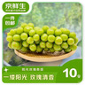 京鲜生 阳光玫瑰青提净重4.5-5斤装 单果10g+ 葡萄/提子生鲜水果源头直 实拍图