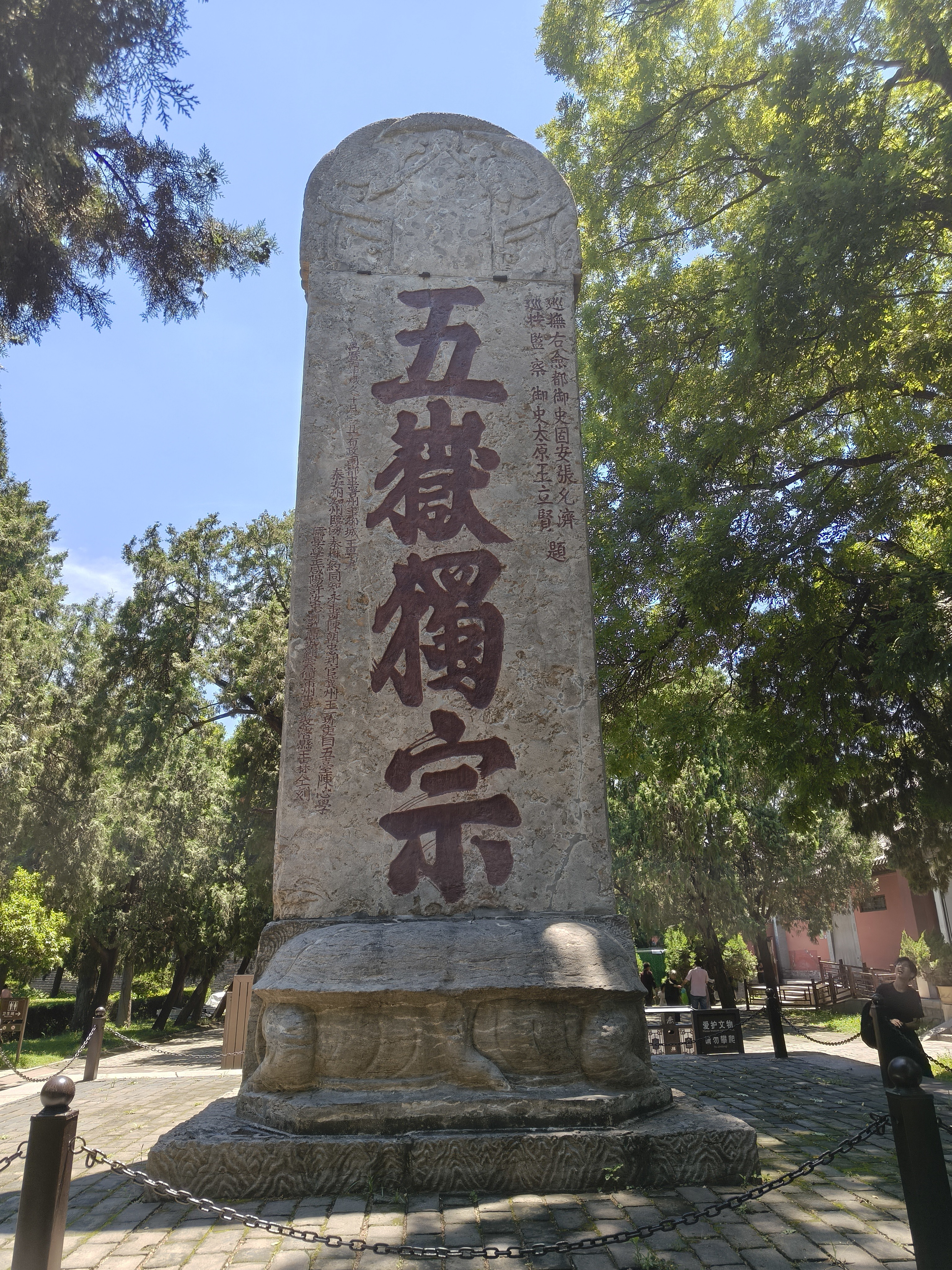 沃朗森医用面膜械字号冷敷贴医美术后补水修复祛痘印消炎透明质酸钠5盒 实拍图