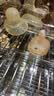 世喜安抚奶嘴0-3-6个月防胀气防龅牙新生儿扁头哄睡全硅胶超轻air款 实拍图
