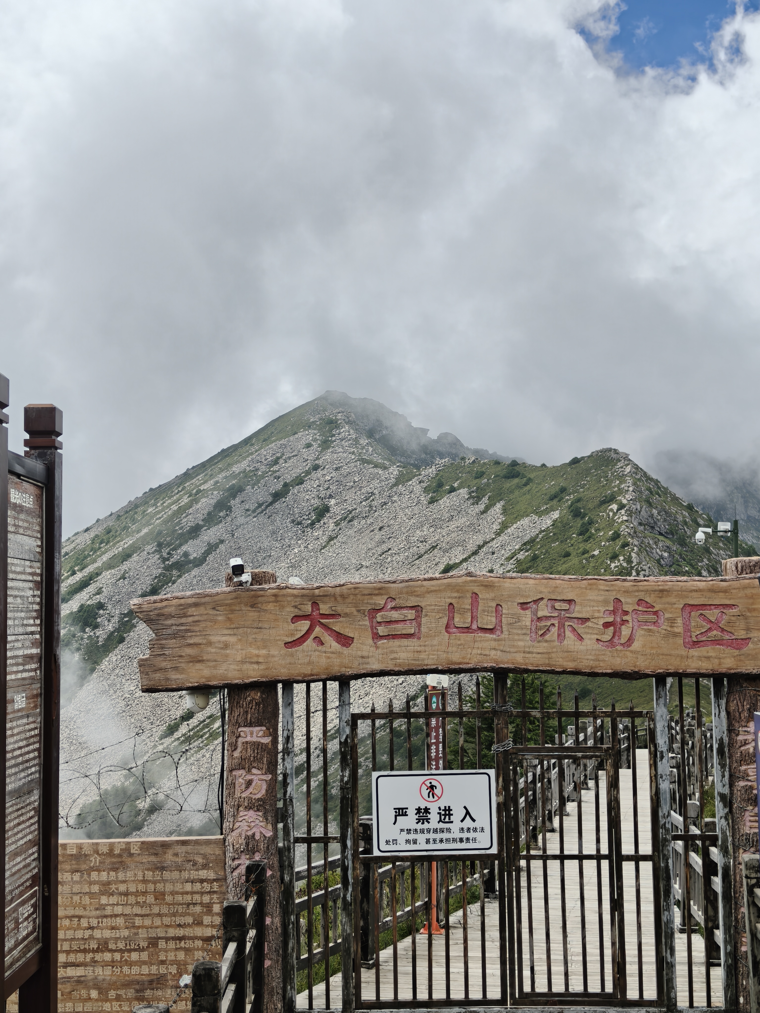 战术鸟轻刃丨轻薄透气夏季防晒帽子男士遮阳旅行渔夫帽防紫外线 实拍图