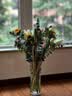 京东鲜花百合8朵向日葵5枝+配草一束鲜切花随机色源头直发 实拍图