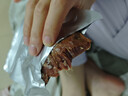 康新牧场牛腱子肉即食熟食酱牛肉【9包】健身代餐轻食办公室下酒菜牛肉 实拍图