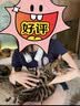 名创优品（MINISO）[0°超导制冷】挂脖风扇2026新款超长续航充电小风扇戴脖子上静音随身携带式小型无叶空调学生户外 制冷款[白]上下出风0°冷风全身循环  5000mAh 实拍图