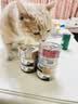 皇家搭档猫罐头猫零食成猫幼猫罐头宠物零食三文鱼金枪鱼吞拿混合85g*6罐 实拍图