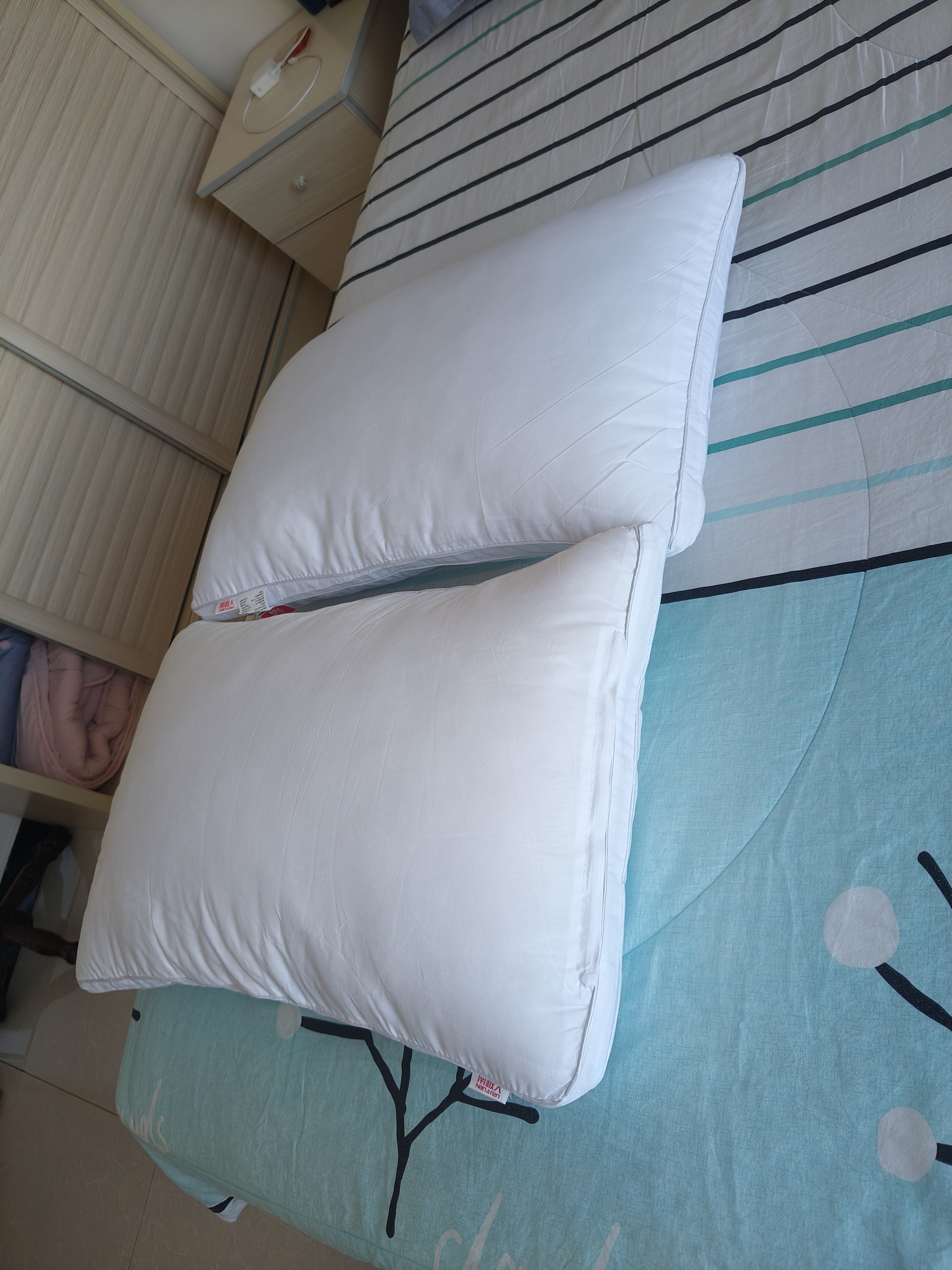 南极人（Nanjiren）枕头一对套装家用睡眠深度枕芯羽丝绒单人五星级酒店枕软枕双人枕 梦叶草-双边立体普通白【2只装】 48x74cm 实拍图