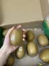 佳沛（zespri）新西兰阳光金奇异果10粒巨大果单果146-175g 猕猴桃水果礼盒 实拍图