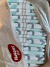 好奇（Huggies）好奇小森林纸尿裤M22片(6-11kg)尿不湿心钻【纯净0添加】 实拍图