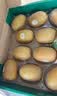 佳沛（zespri）新西兰阳光金奇异果 8个装 特大果单果重约124-146g 水果猕猴桃 实拍图