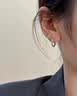 芯奢s999纯银针莫比乌斯耳环女2026年新款轻奢耳钉简约高级感耳圈耳坠 999银针一对装+礼盒包装 实拍图