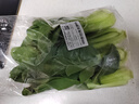 上海青约500g(油菜) 实拍图