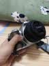 佳能（Canon） EOS 200D二代 200d2代单反相机入门单反vlog迷你单反数码照相机 200DII 18-55银色+佳能小痰盂双镜头套装 官方标配【全国多仓发~快可次日达】 实拍图