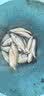 泰福高（TAFUCO）316不锈钢保温饭盒学生上班族便携保温桶大容量四层T5608米色2.3L 实拍图