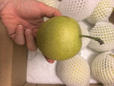 京鲜生河北青翠蜜梨 净重4.5斤 单果250g+ 生鲜水果 源头直发 实拍图