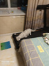pidan猫砂 超细豆腐膨润土混合猫砂6.18KG*3包 整箱装皮蛋猫砂自营 实拍图