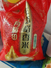 十月稻田 生态稻香米 5斤（东北大米 香米 2.5kg/公斤） 实拍图