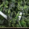 音朗乌龙茶叶安溪铁观音400g 2026新茶兰香耐泡茶叶中秋礼盒送长辈 实拍图